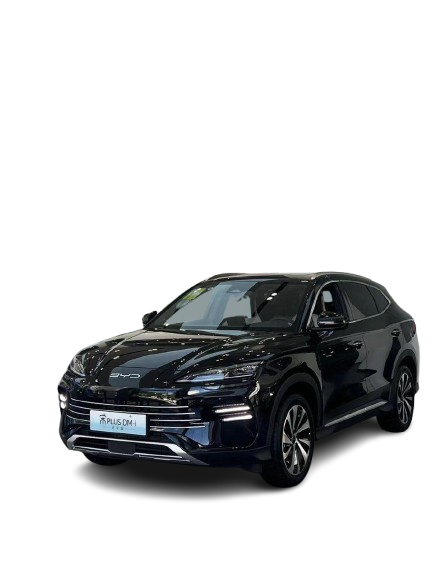 featured picture byd song